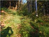 Kranjski Rak - Planina Marjanine njive